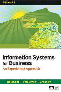 Information Systems for Business: An Experiential Approach, Edition 3.1 (3rd Edition) - Epub + Converted pdf